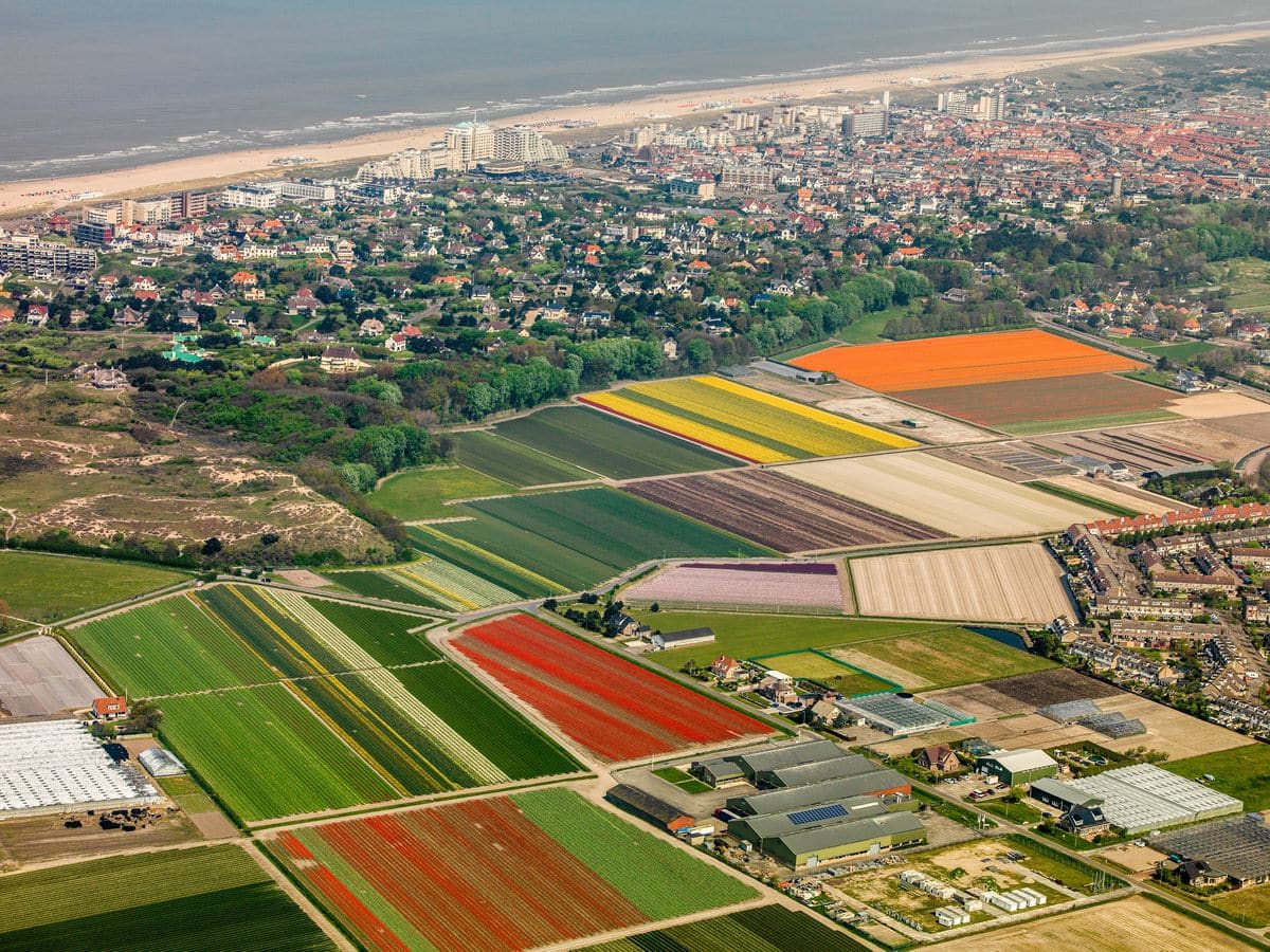 Bollenteelt in het middengebied van Noordwijk luchtfoto